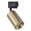 Spotlámpa sínrendszerhez MARIBEL 1xGU10/10W/230V arany
