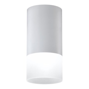 Spotlámpa TUBA 1xGU10/15W/230V szürke/fehér