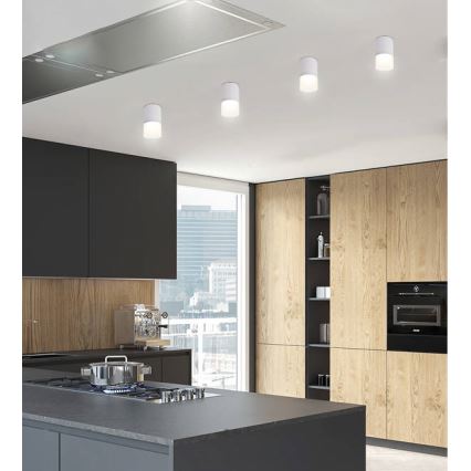 Spotlámpa TUBA 1xGU10/15W/230V szürke/fehér