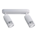 Spotlámpa VERTICAL 2xGU10/8W/230V fehér