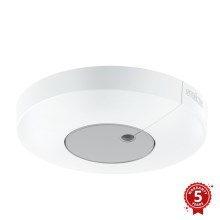 STEINEL 033651 - Alkonyérzékelő Light Sensor Dual KNX fehér