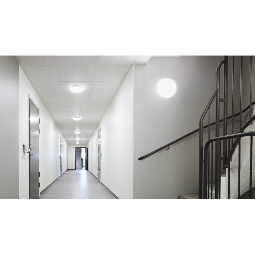 STEINEL 057817 - LED Mennyezeti lámpa érzékelővel LED/15W/230V