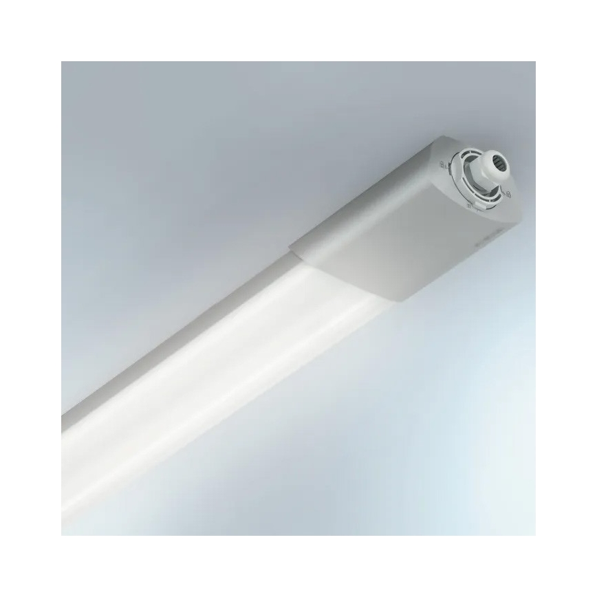 Steinel 058722 - LED Dimmelhető heavy-duty lámpa RS PRO 5150 C LED/42W/230V IP65