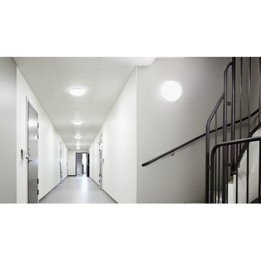 Steinel 079727 - KÉSZLET 5x LED Mennyezeti lámpa érzékelővelRS PRO S30 SC LED/25,7W/230V 3000K