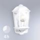 Steinel 644512 - Kültéri fali lámpa érzékelővel L 190 S 1xE27/100W/230V IP44