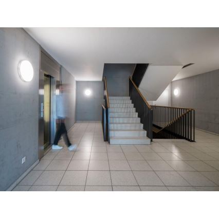 Steinel - LED Dimmelhető mennyezeti lámpa érzékelővel RSPROR20BASIC 15,3W/230V IP40 4000K