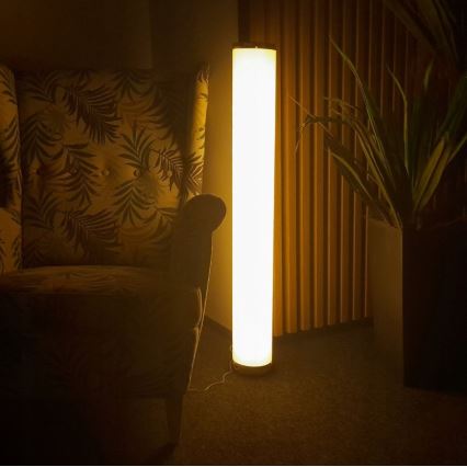 LED RGBW állítható fényerejű állólámpa STELLA LED/12W/230V + távirányító