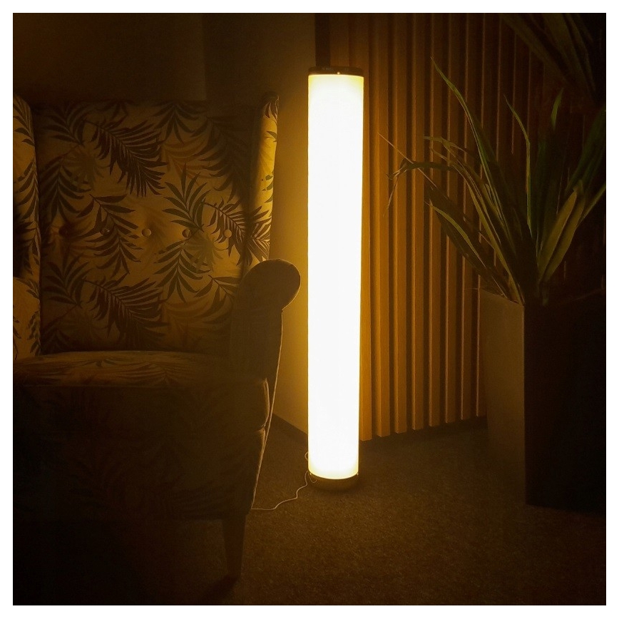 LED RGBW állítható fényerejű állólámpa STELLA LED/12W/230V + távirányító