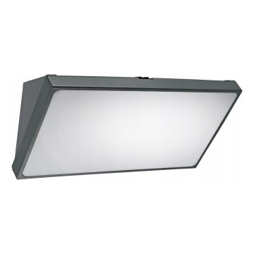 Szürke LED kültéri fali lámpatest mozgásérzékelővel LED/20W/230V IP65