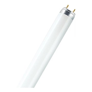 T8 G13/15W/55V 4000K 45 cm fénycső - Osram