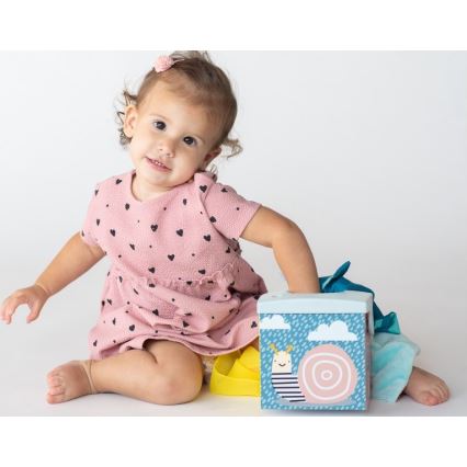 Taf Toys - Doboz zsebkendőkkel KIMMI koala