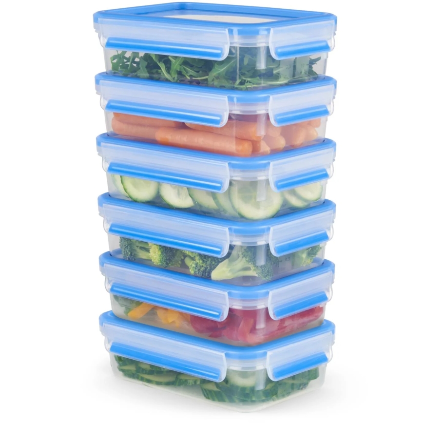 Tefal - 6 darabos élelmiszertároló készlet 0,8 l, MASTER SEAL FRESH, kék