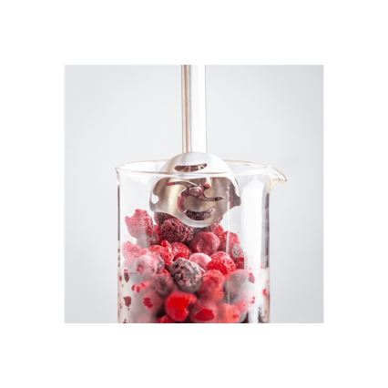 Tefal - Botmixer QUICKCHEF 1000W/230V fekete