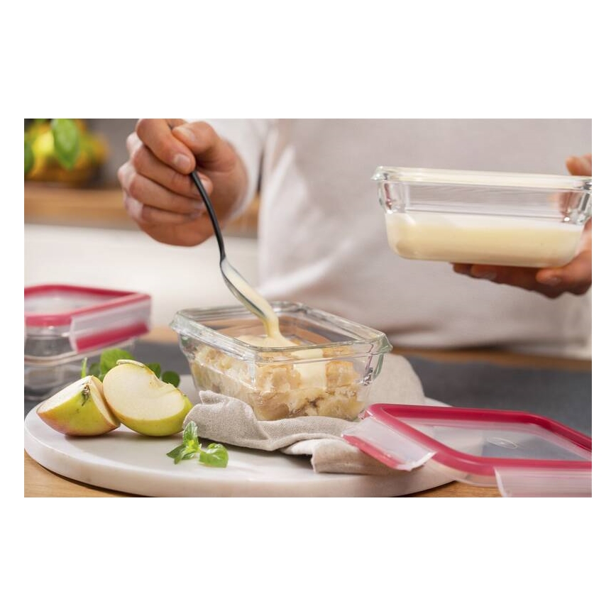 Tefal - Élelmiszer tartó 0,45 l MSEAL GLASS piros/üveg