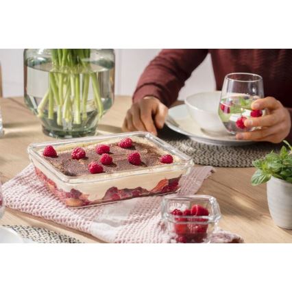 Tefal - Élelmiszer tartó 3 l MSEAL GLASS piros/üveg