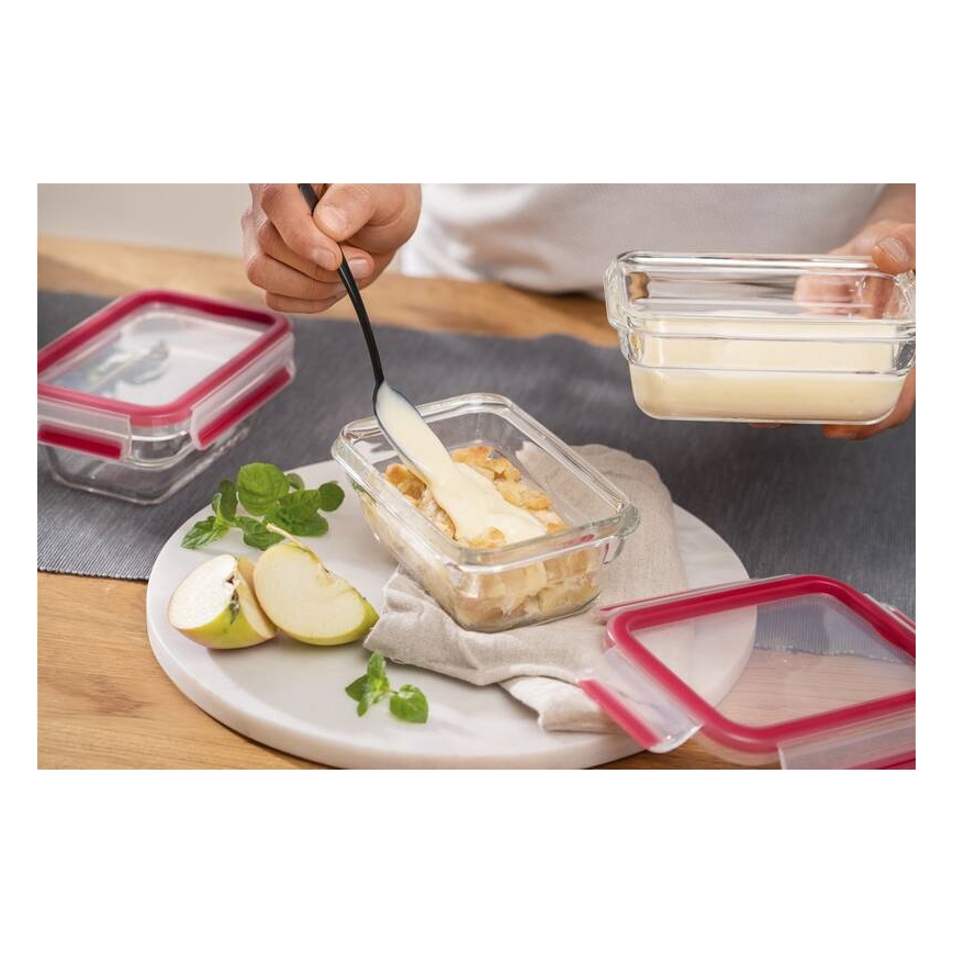Tefal - Élelmiszertároló doboz 0,45 l MSEAL GLASS piros/üveg