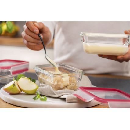 Tefal - Élelmiszertároló doboz 0,45 l MSEAL GLASS piros/üveg