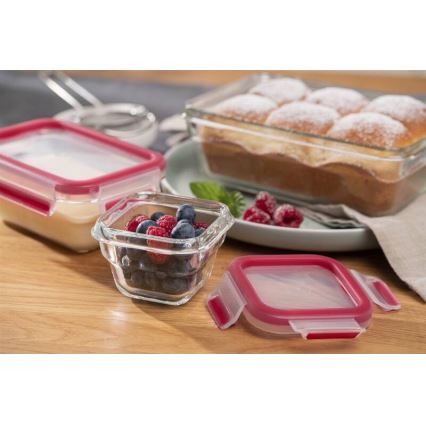 Tefal - Élelmiszertároló doboz 0,45 l MSEAL GLASS piros/üveg