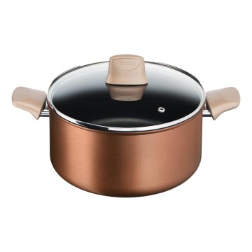 Tefal - Fazék fedővel RESPECT átm. 24 cm