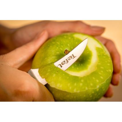 Tefal - Rozsdamentes kivágó kés ICE FORCE 7 cm fényes króm/fekete