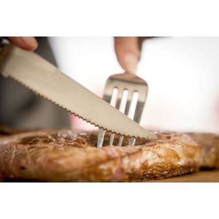 Tefal - ICE FORCE rozsdamentes steakkés szett, 11 cm, fényes króm/fekete, 4 db