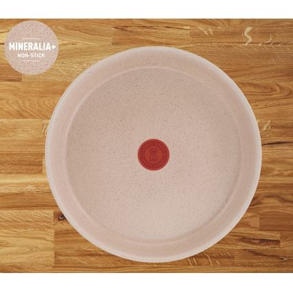 Tefal - INGENIO DELIGHT 6 részes edénykészlet