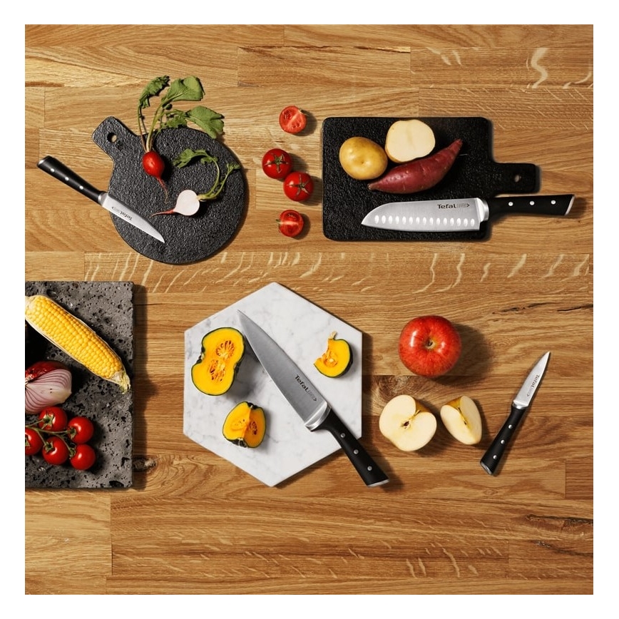 Tefal - Konyhai késkészlet állványban ICE FORCE 6 db