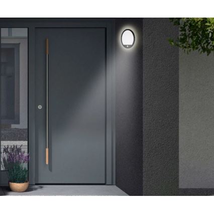 Telefunken 313705TF - LED Kültéri fali lámpa érzékelővel LED/15W/230V IP44