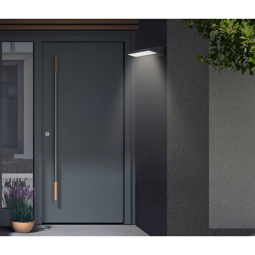 Telefunken - LED kültéri fali lámpa LED/10W/230V IP44 fekete