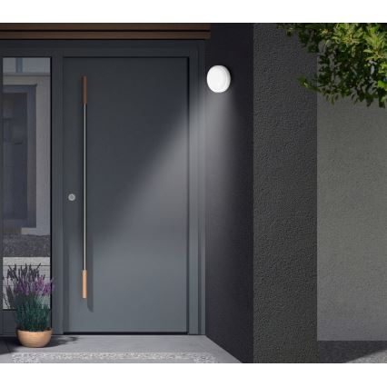 Telefunken - LED kültéri fali lámpa alkony- és mozgásérzékelővel LED/12W/230V IP44 fehér