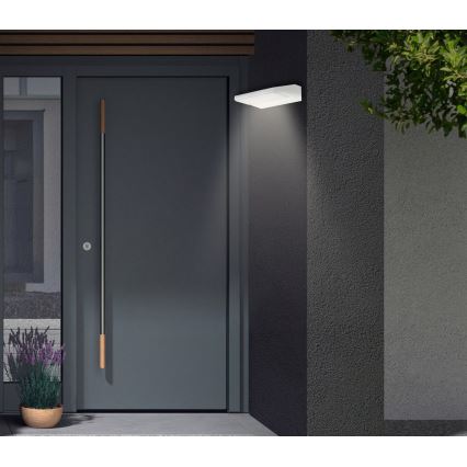 Telefunken - LED kültéri fali lámpatest LED/10W/230V IP44 fehér