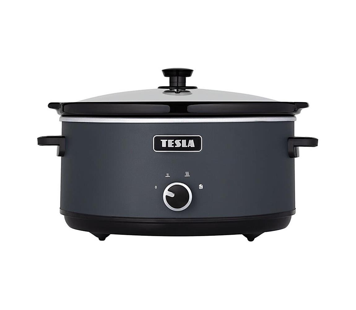TESLA Electronics SlowCook