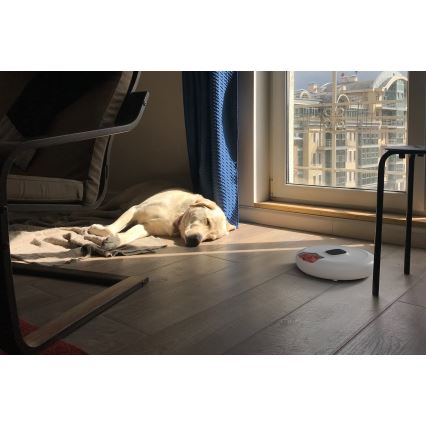 TESLA Smart - Intelligens kisállat etető 170 ml 5V