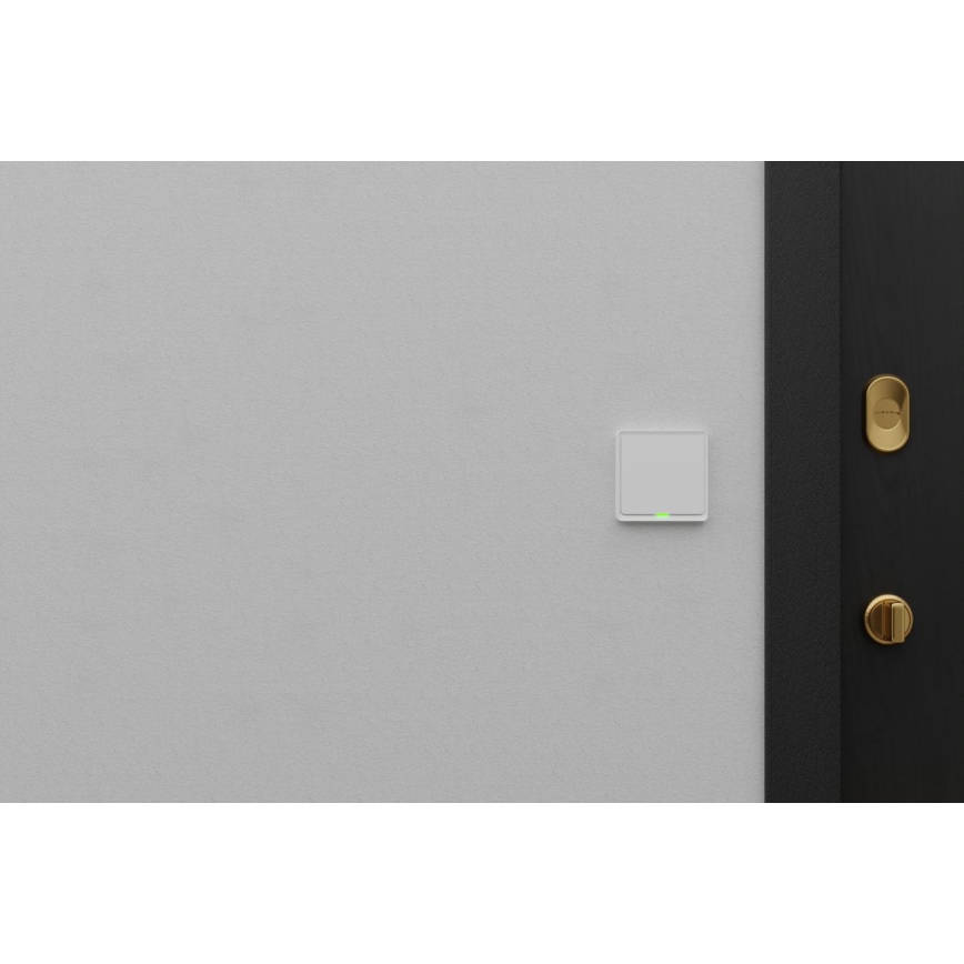 TESLA Smart - Okos kapcsoló házhoz 1P 230V Wi-Fi