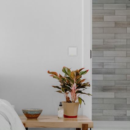 TESLA Smart - Okos kapcsoló házhoz 1P 230V Wi-Fi