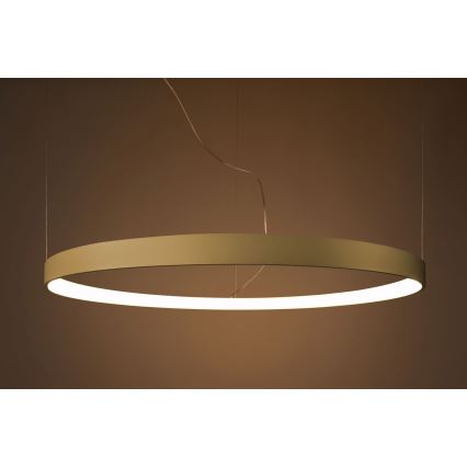 Thoro TH.174 - LED Csillár zsinóron RIO LED/50W/230V CRI 90 3000K átm. 78 cm arany