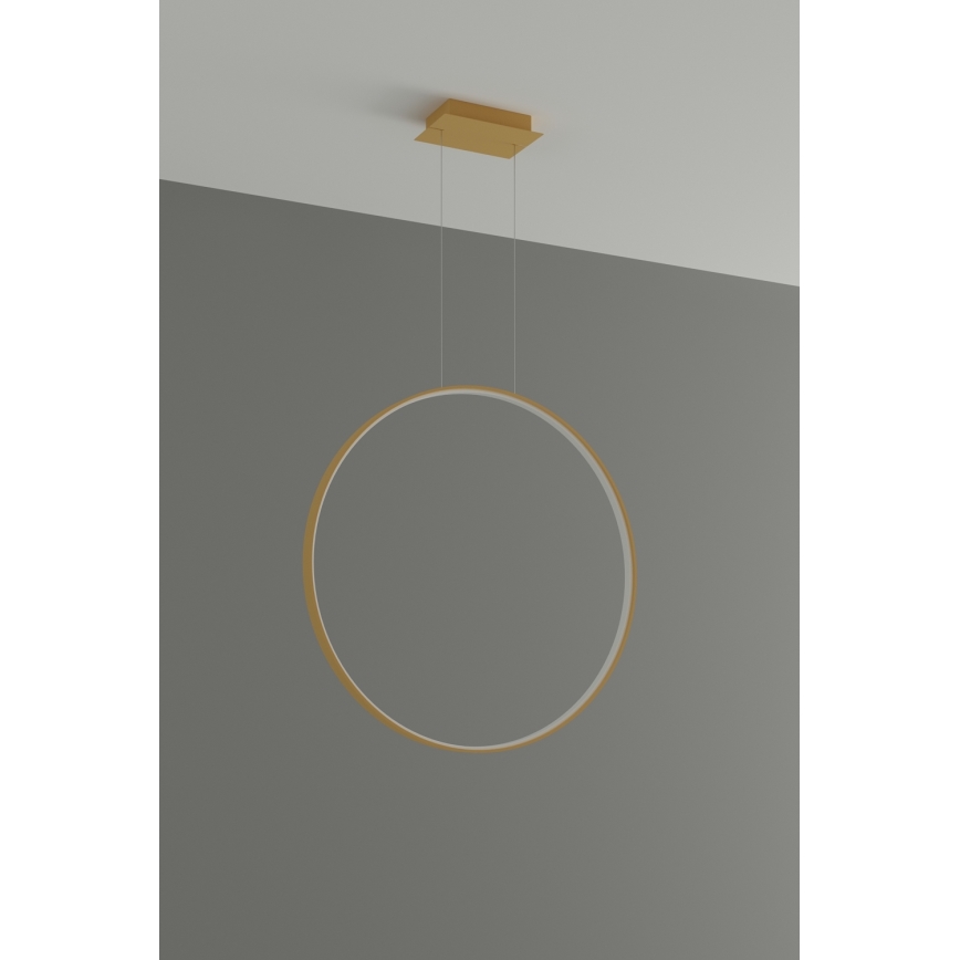 Thoro TH.175 - LED Csillár zsinóron RIO LED/50W/230V CRI 90 3000K átm. 78 cm arany