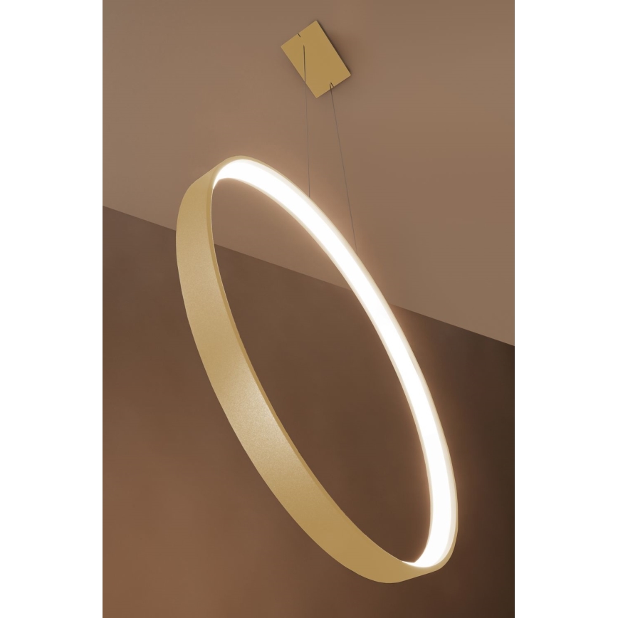 Thoro TH.175 - LED Csillár zsinóron RIO LED/50W/230V CRI 90 3000K átm. 78 cm arany