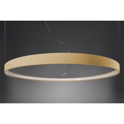 Thoro TH.181 - LED  Csillár zsinóron RIO LED /50W/230V CRI 95 4000K átm. 78 cm arany
