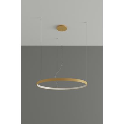 Thoro TH.217 - LED Csillár zsinóron RIO LED/30W/230V CRI 95 4000K átm. 55 cm arany