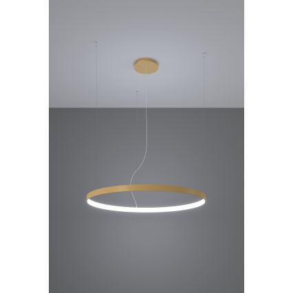 Thoro TH.217 - LED Csillár zsinóron RIO LED/30W/230V CRI 95 4000K átm. 55 cm arany