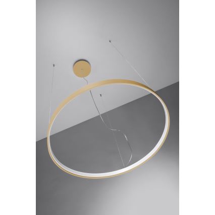 Thoro TH.217 - LED Csillár zsinóron RIO LED/30W/230V CRI 95 4000K átm. 55 cm arany
