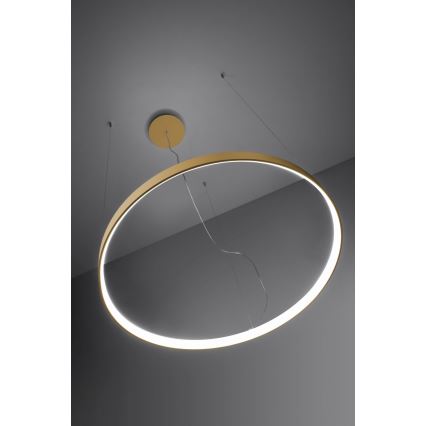 Thoro TH.217 - LED Csillár zsinóron RIO LED/30W/230V CRI 95 4000K átm. 55 cm arany