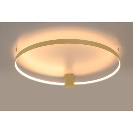 Thoro TH.222 - RIO LED mennyezeti lámpa LED/21W/230V CRI 98 3000K átm. 55 cm arany