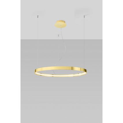 Thoro TH.246 - LED Csillár zsinóron RIO LED/50W/230V CRI 90 3000K átm. 78 cm arany
