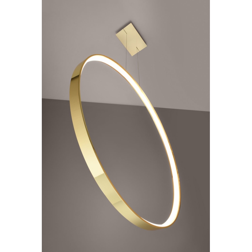 Thoro TH.248 - LED Csillár zsinóron RIO LED/50W/230V CRI 90 3000K átm. 78 cm arany