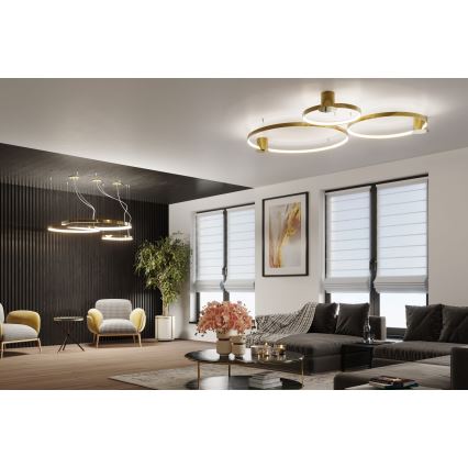 Thoro TH.252 - LED Mennyezeti lámpa RIO LED/50W/230V CRI 90 3000K átm. 78 cm arany