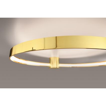 Thoro TH.252 - LED Mennyezeti lámpa RIO LED/50W/230V CRI 90 3000K átm. 78 cm arany