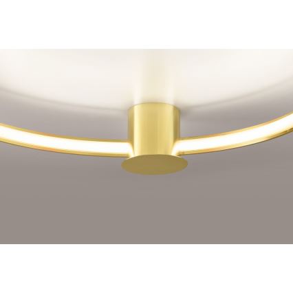 Thoro TH.252 - LED Mennyezeti lámpa RIO LED/50W/230V CRI 90 3000K átm. 78 cm arany