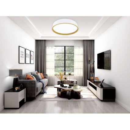 Top Light - LED dimmelhető mennyezeti lámpa DEKOR LED/51W/230V átm. 50 cm 3000-6500K + távirányító